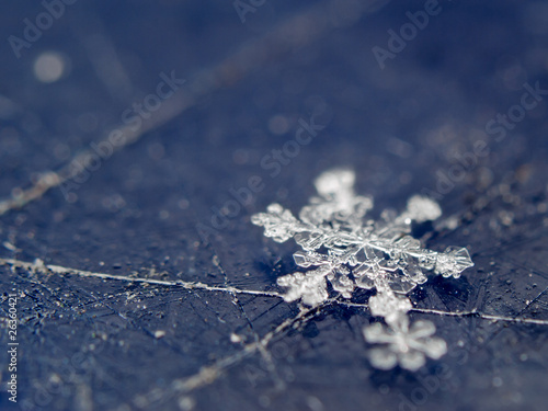 snowflake on scratshed surface photo