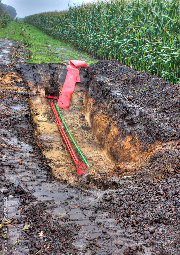 Reparairing electricity cables in a corn field Reparairing electricity cables in a corn field