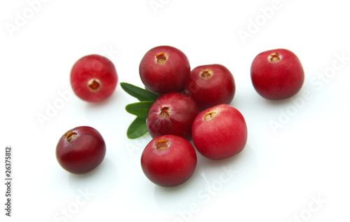 Winter berry - a cranberry