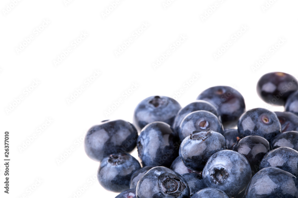 Blaubeeren, schattenfrei isoliert mit Textfreiraum Blaubeeren, schattenfrei isoliert mit Textfreiraum