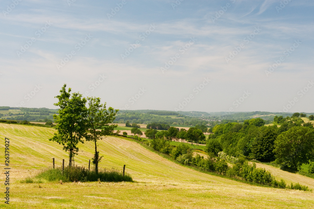 Fototapeta premium Green landscape with hills