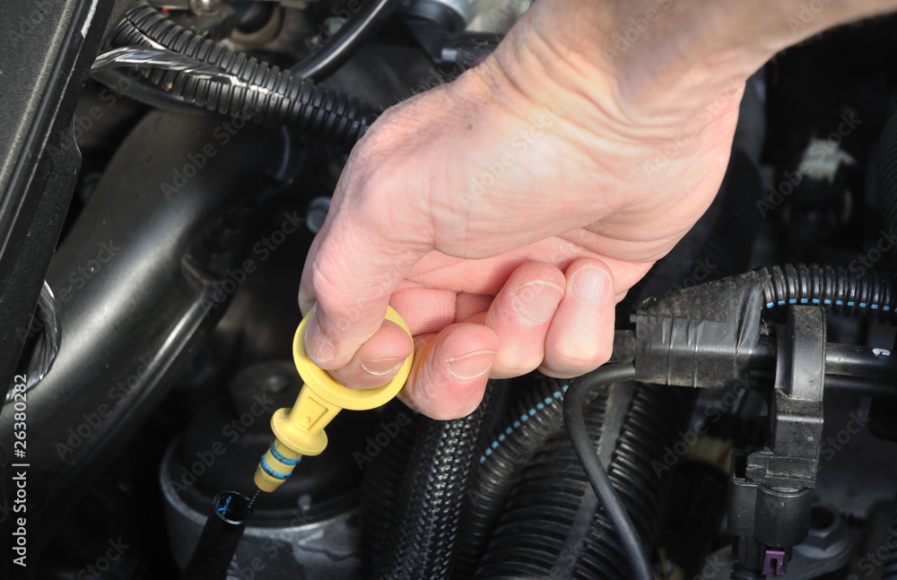 Fototapeta premium Checking the Oil Level of an Automobile Engine
