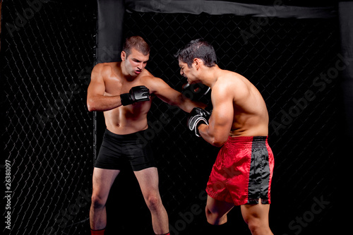 Mixed martial artists fighting - punching © Nicholas Piccillo