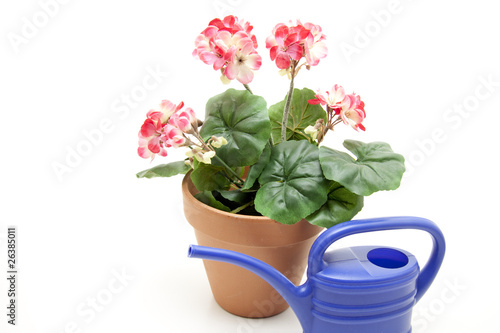 Fototapeta Naklejka Na Ścianę i Meble -  Geranien und Gießkanne