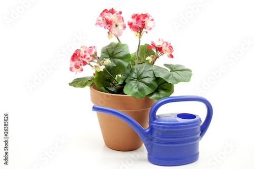 Fototapeta Naklejka Na Ścianę i Meble -  Geranien und Gießkanne