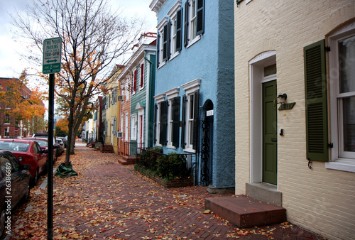 Autumn trees on a street in Washington