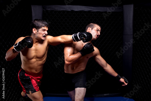 Mixed martial artists fighting - punching © Nicholas Piccillo