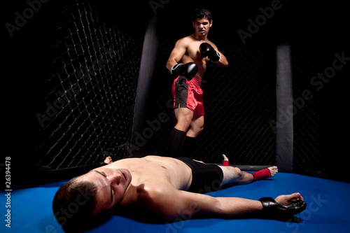 Mixed martial artists fighting - knock out