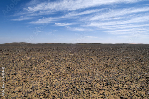 Stone Desert