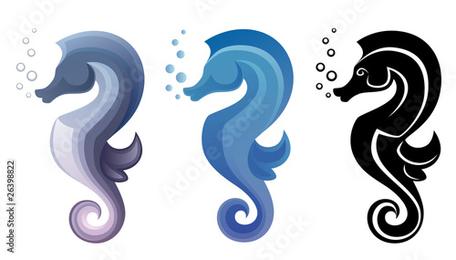 Sea horse