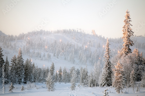 ski resort landscape