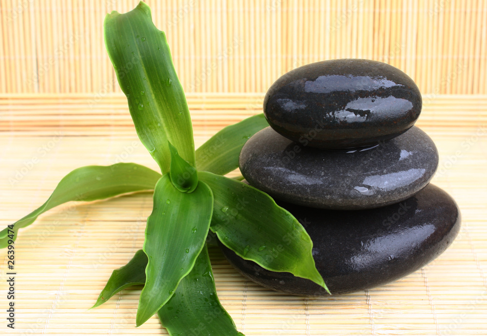 Obraz premium wet massage stones with the plant on bamboo mat