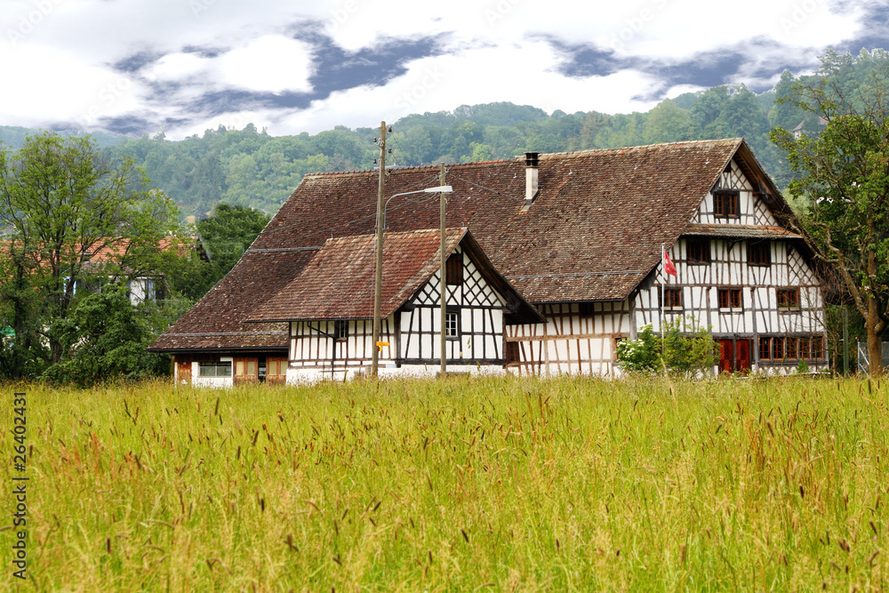 classic old white painted wood frame house stands on a meadow