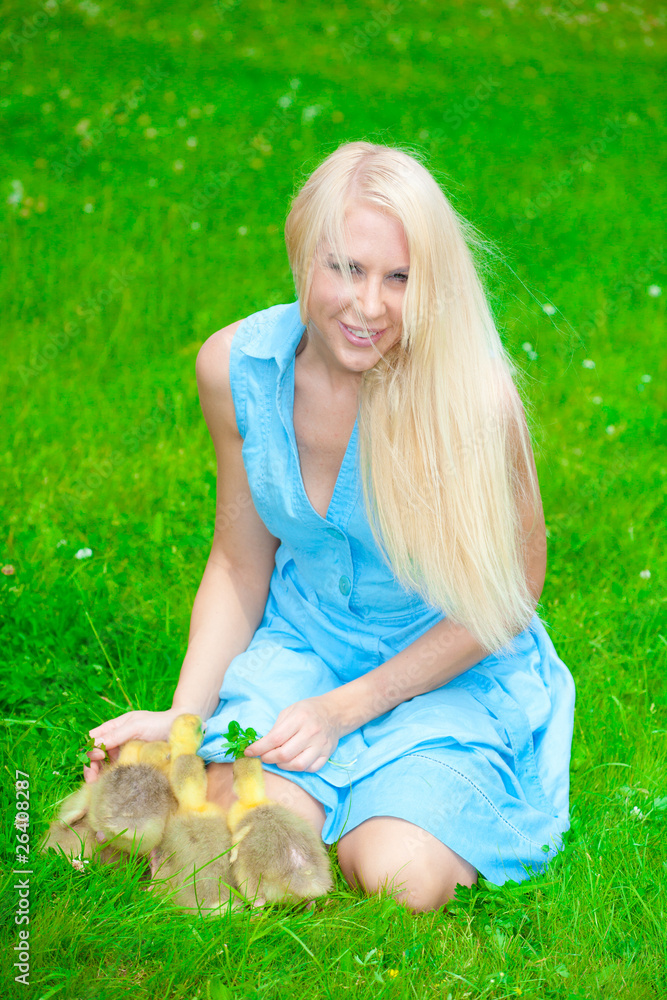 Fototapeta premium Little Ducklings