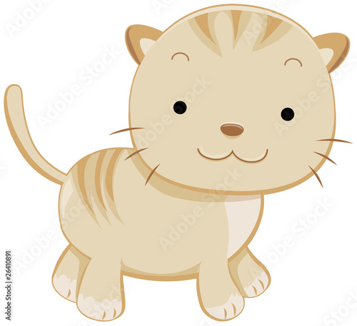 Cute Cat