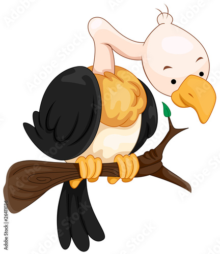 Vulture