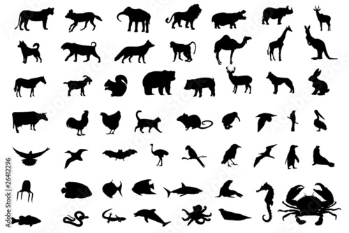 Animal black silhouettes