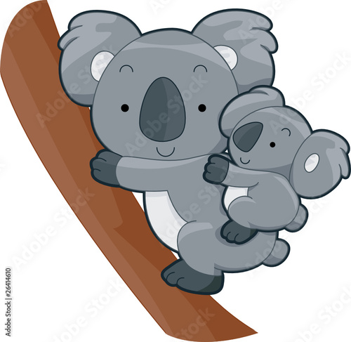 Cute Koala