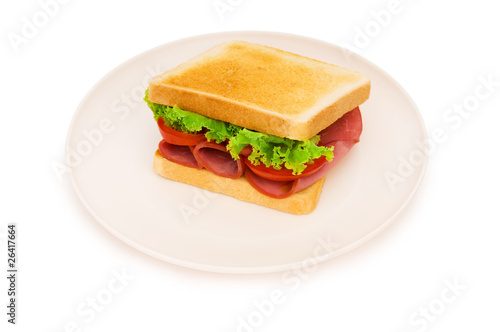 Tasty sandwich isolated on the white background