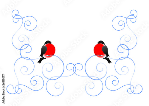 Bullfinch and a winter pattern