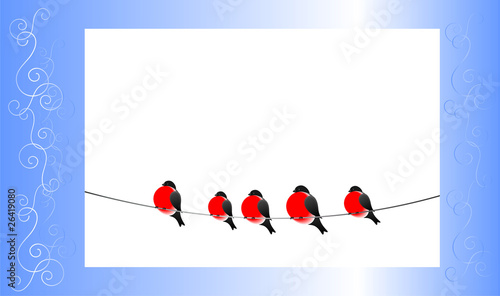 Bullfinch and a winter pattern