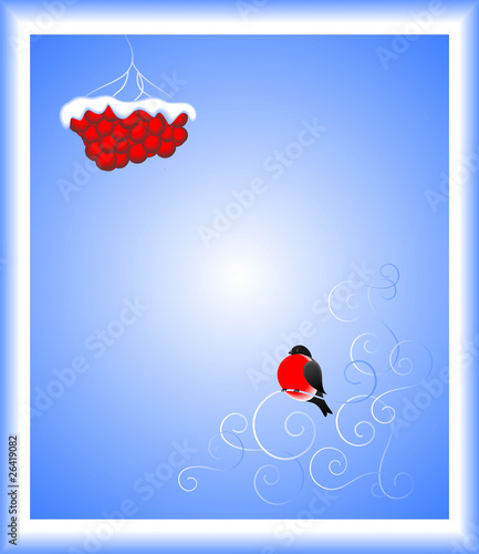 Bullfinch.
