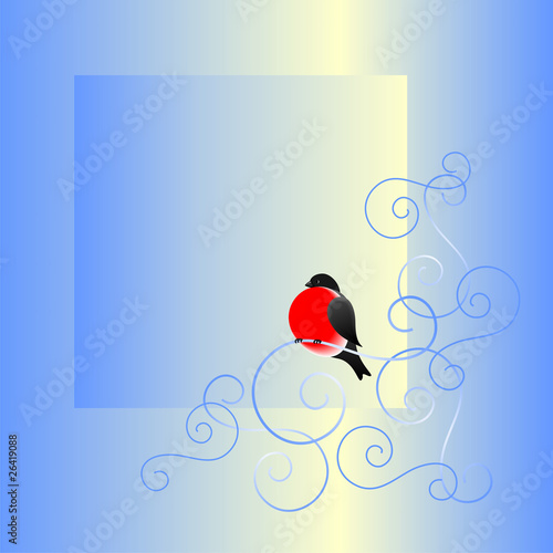 Bullfinch and a winter pattern