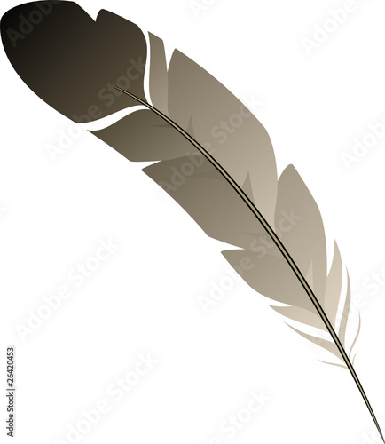 Feather