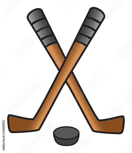 hockey stick puck