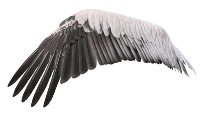 Bird wing cutout