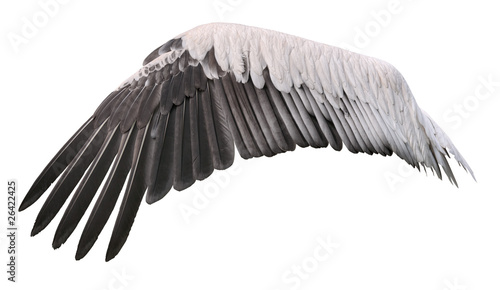 Bird wing cutout