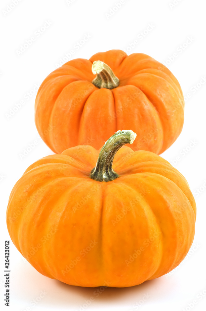 Obraz premium Miniature pumpkins