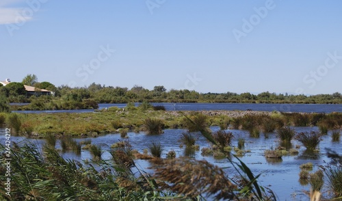 Paysage de Camargue # 4