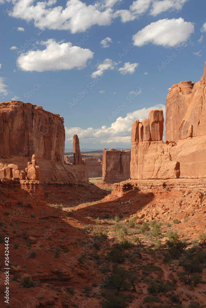 Fototapeta premium Desert Valley