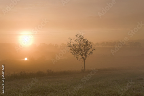 Misty morning sunrise