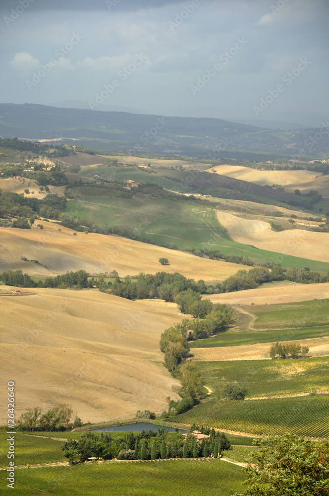 Fototapeta premium View at Val d'Orcia, Tuscany, Italy