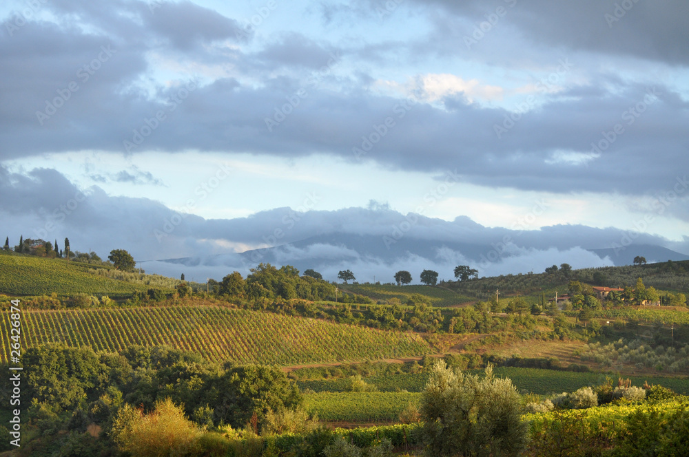 Rolling Hills, Tuscany