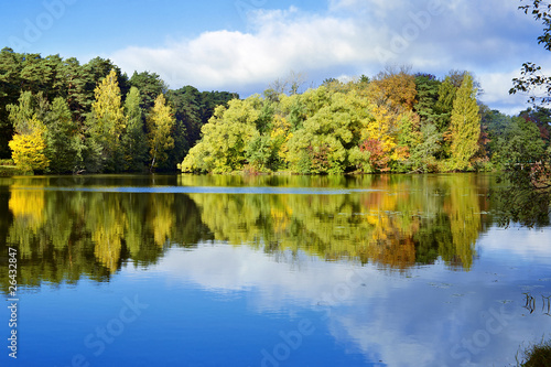 Shore of autumn lake