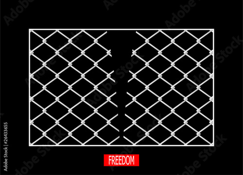 Freedom