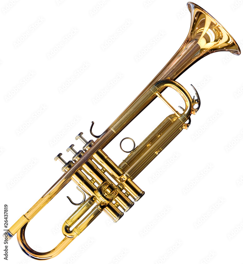 Fototapeta premium Golden trumpet isolated with clipping path