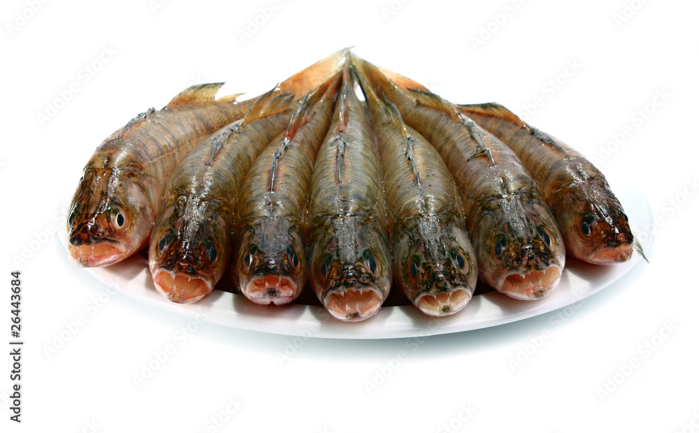 fresh raw fish fresh raw fish