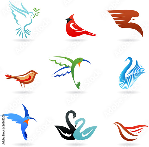 Different colorful birds