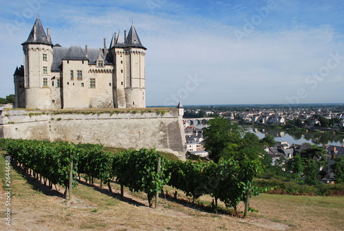 Schilderij op canvas vignes du château