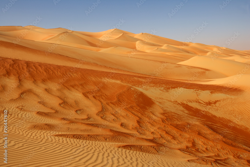 Fototapeta premium Empty Quarter Dunes