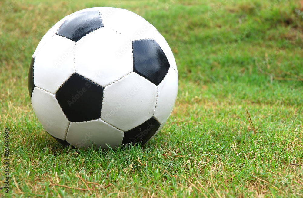 Soccer ball Soccer ball