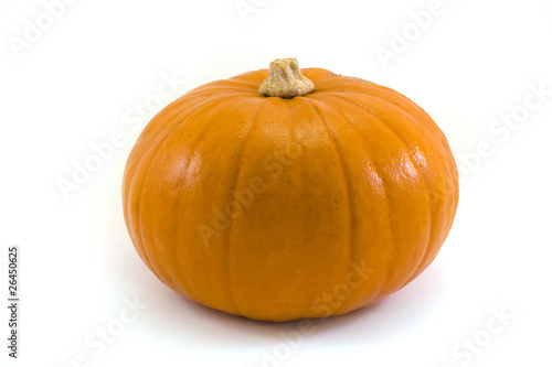 single pumpkin over white