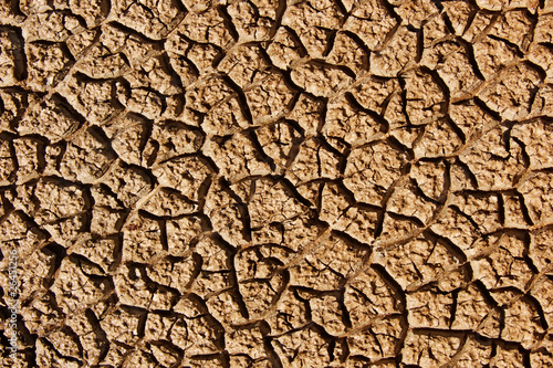 Cracks clay ground