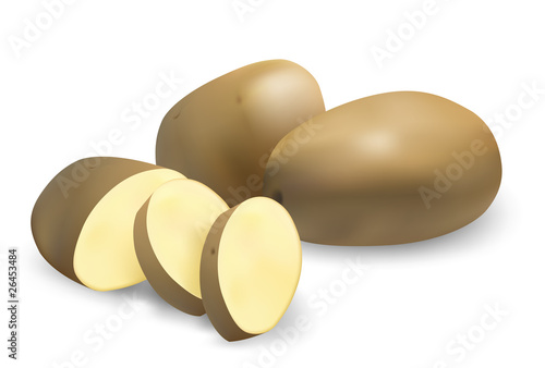 Potato vector illustration.