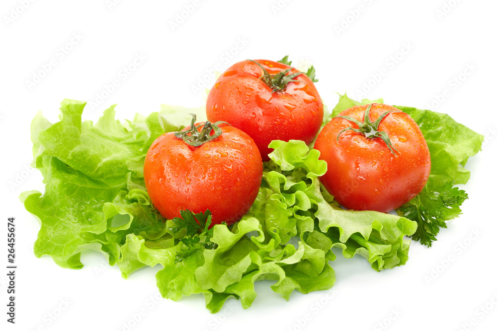 Tomatoes and lettuce on the white background Tomatoes and lettuce on the white background