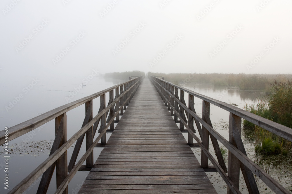 Holzweg Holzweg